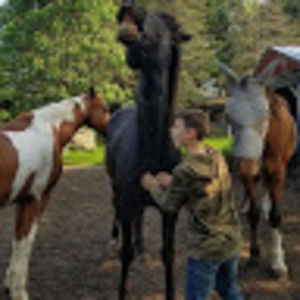 Meet your Posher, Tabatha